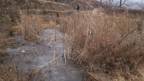 天誠測量部：煙台市沐浴村土(tǔ)地整理(lǐ)項目前期測量工(gōng)作(zuò)