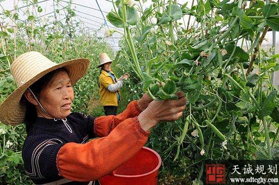 宜春市多措并舉構建清晰的國(guó)土(tǔ)生(shēng)态空間開發利用格局