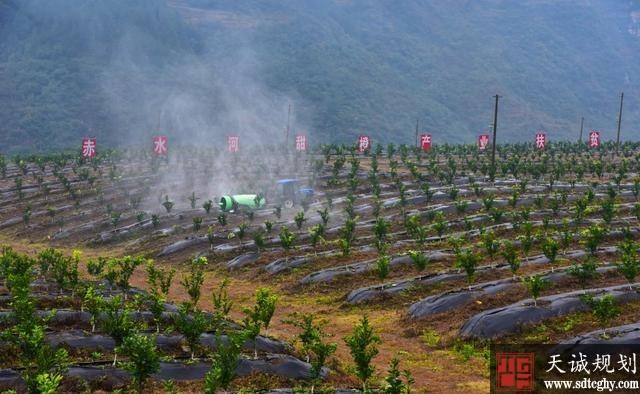 叙永縣三年(nián)投入五億餘元建設農田水利成效顯著并獲省級表彰