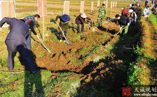 柯街鎮開展農田水利建設爲防洪禦旱等打下了堅實基礎