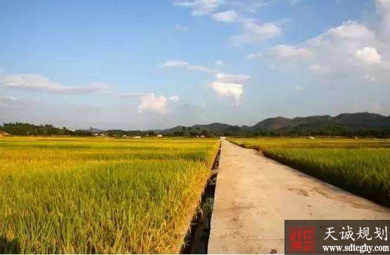 抓好水利工(gōng)程建設增強農業防災抗災減災能力