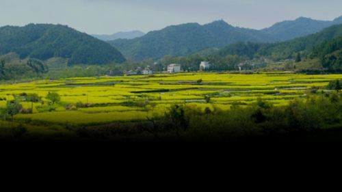 兩會：以土(tǔ)地要素市場化改革破局農村養老困境－劉紅(hóng)宇