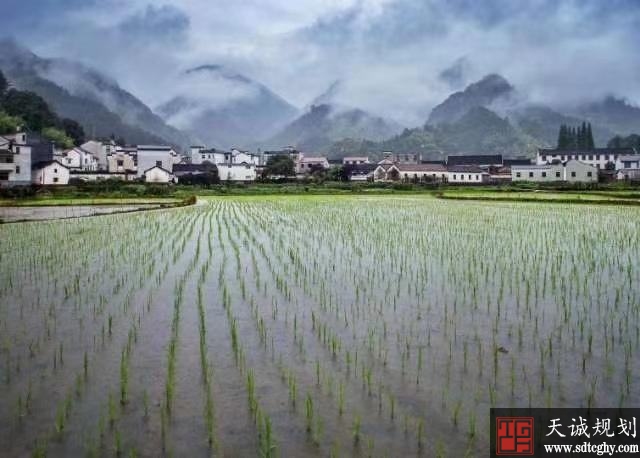 婺城(chéng)首張農業“标準地”履約保險保單生(shēng)效給農民(mín)定心