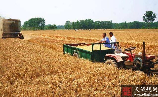 我國(guó)首個升級耕地破壞鑒定地方标準在河南(nán)發布