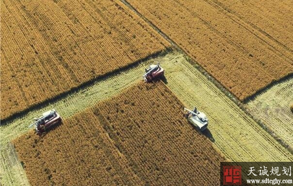 蒙陰縣創新土(tǔ)地整治機(jī)制引入社會資本實現多赢