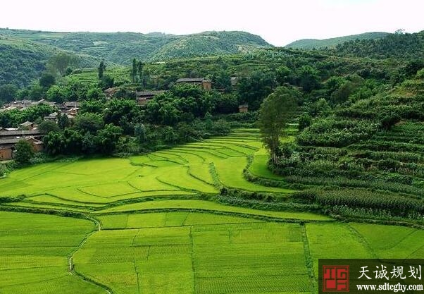 讓承擔耕地保護任務的集體(tǐ)和個人(rén)分(fēn)享社會經濟發展成果