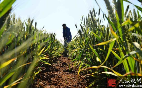 嚴把非農建設占用耕地審批關 從(cóng)源頭上減輕耕地保護壓力