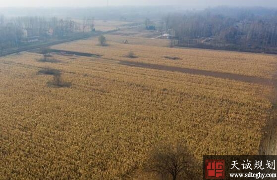 農土(tǔ)地流轉爲農民(mín)增收同時解了種地憂愁