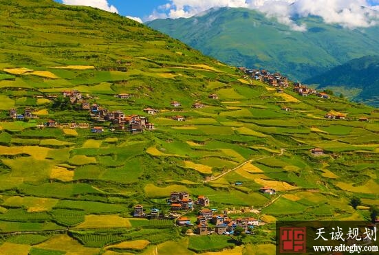 土(tǔ)地流轉變荒地成寶地 鼓起農民(mín)的錢袋子