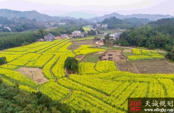 防城(chéng)港市加強亂占耕地建房(fáng)問(wèn)題整治和農房(fáng)審批相(xiàng)關工(gōng)作(zuò)