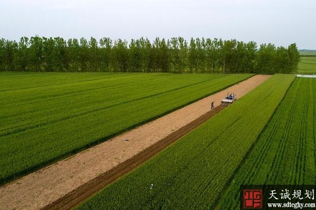 全國(guó)土(tǔ)地承包經營權已經達到5.55億畝