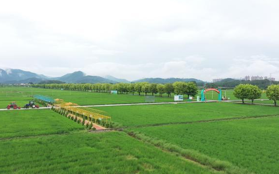 黨建引領土(tǔ)地流轉實現人(rén)均收入增幅達2000元